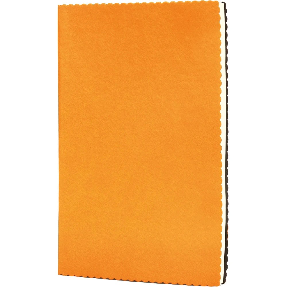 Erciyes Tarihsiz Defter